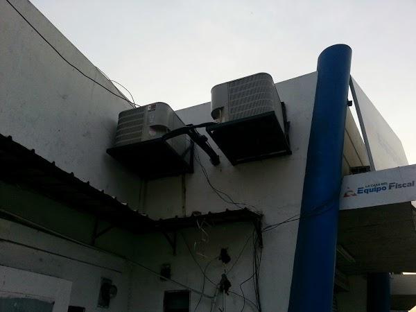 Imagen 13 wasabi SUSHI foto