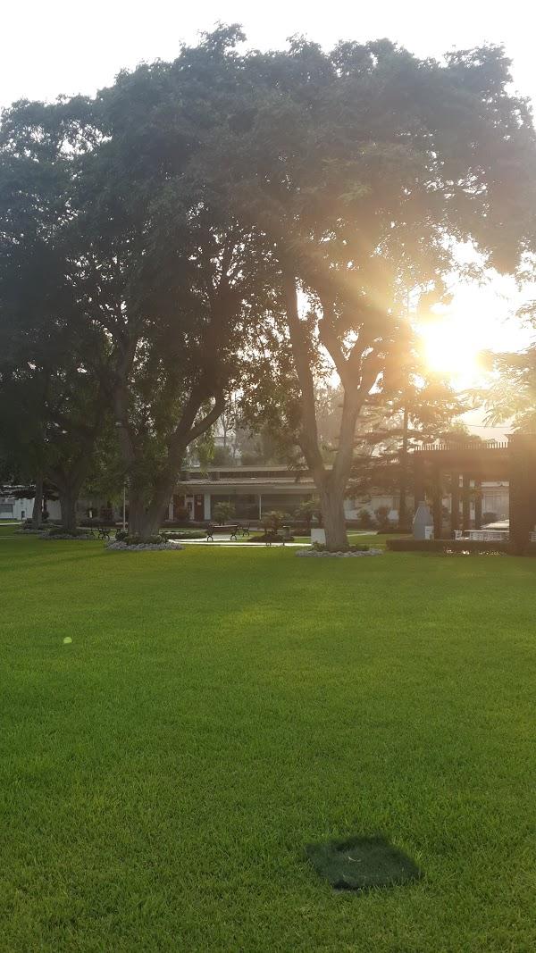 Imagen 13 Globales Playa Estepona foto