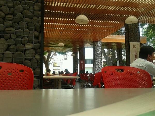 Imagen 15 Globales Playa Estepona foto