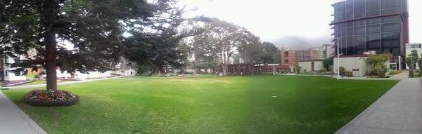 Imagen 17 Globales Playa Estepona foto