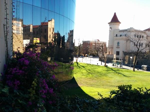 Imagen 31 Globales Playa Estepona foto