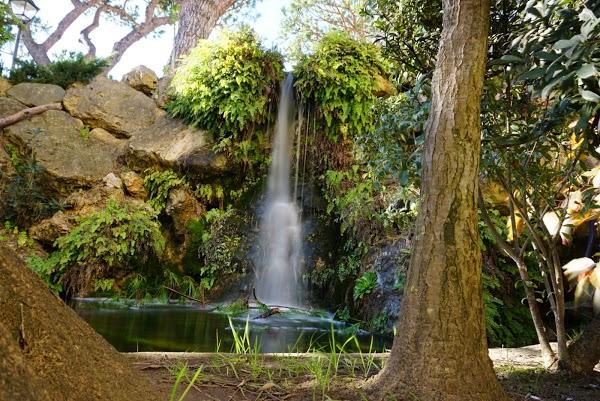 Imagen 14 La Plaza Beach Restaurant foto