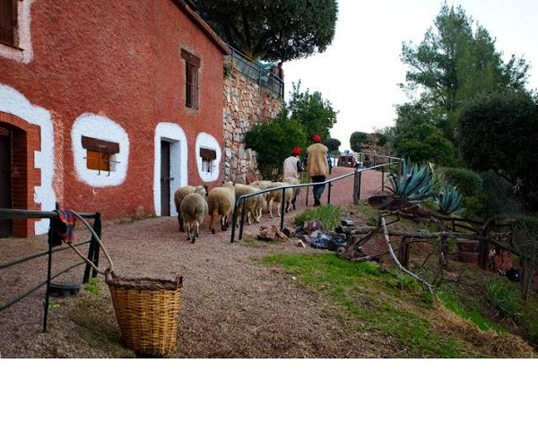 Imagen 45 La Plaza Beach Restaurant foto