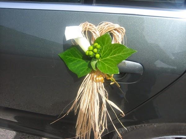 Imagen 2 INSTITUTO AUSUBEL foto