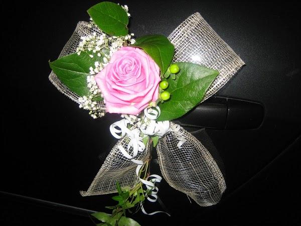 Imagen 3 INSTITUTO AUSUBEL foto