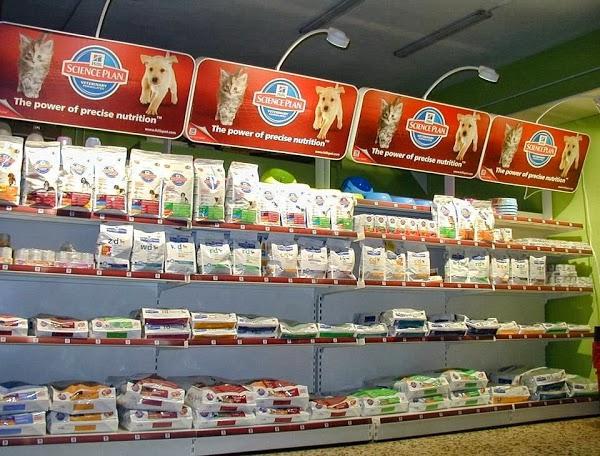 Imagen 17 Colegio Salesiano San Paulino de Nola foto