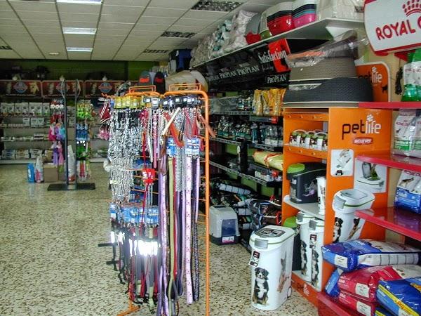 Imagen 19 Colegio Salesiano San Paulino de Nola foto