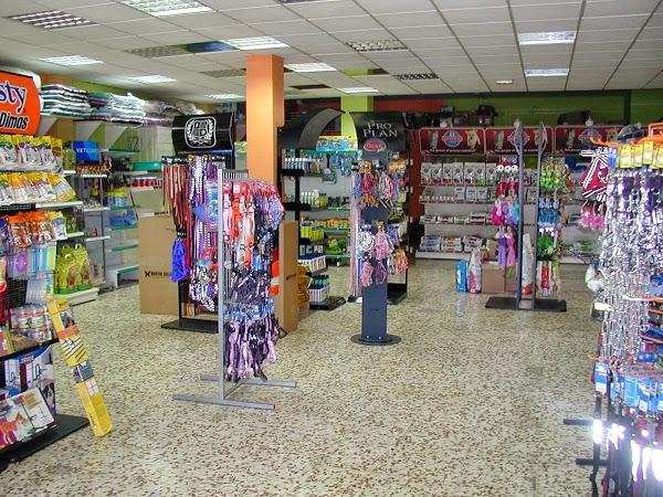 Imagen 20 Colegio Salesiano San Paulino de Nola foto