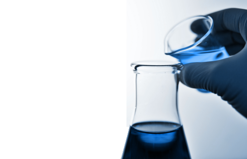 Imagen 21 Colegio Salesiano San Paulino de Nola foto