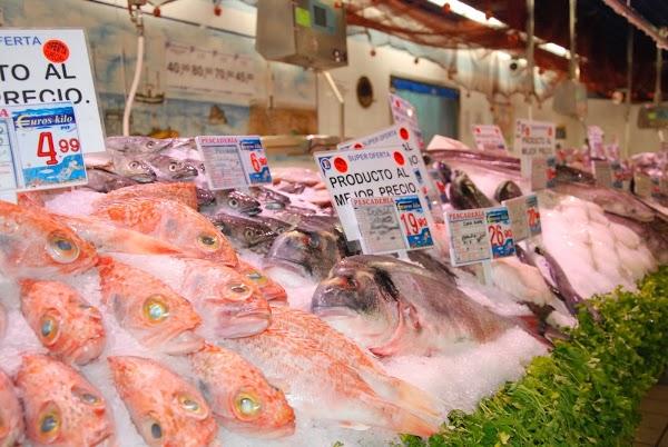 Imagen 25 REPUBLIK foto