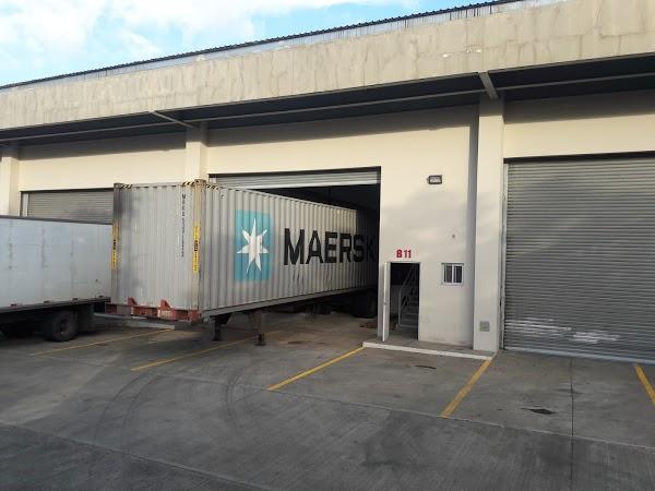 Imagen 35 Pequeños Genios foto