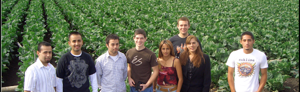 Imagen 6 Luna Beach Club foto