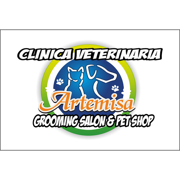 Imagen 4 SEIN S.R.L foto