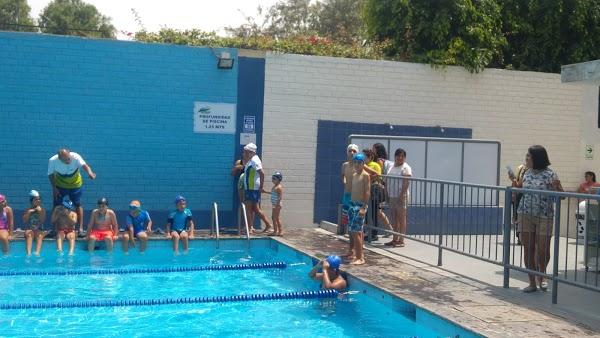 Imagen 37 FRUTERIA TUTTI FRUTTI foto