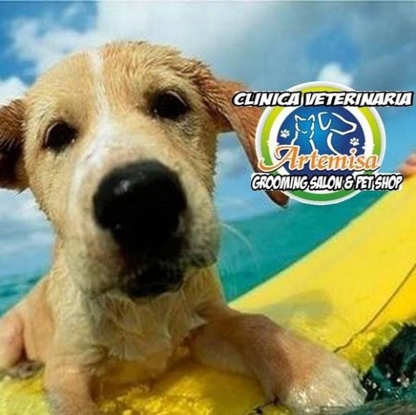 Imagen 5 SEIN S.R.L foto