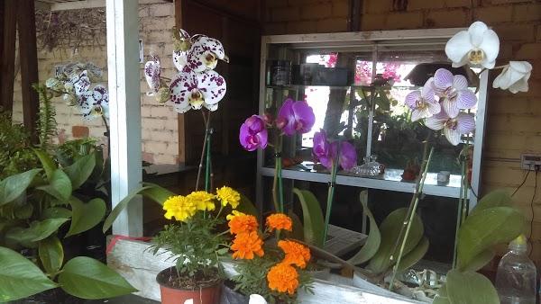 Imagen 13 Oal Radio foto