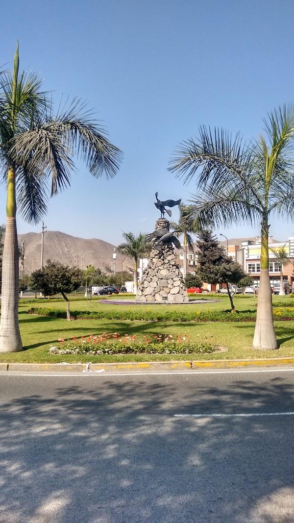 Imagen 14 Oal Radio foto