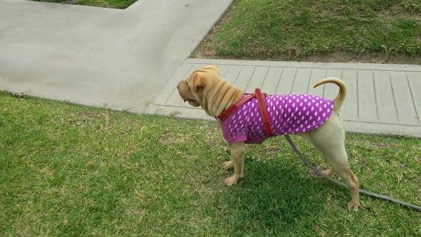 Imagen 18 Oal Radio foto