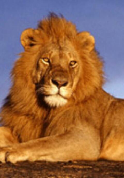 Imagen 35 HOTEL PONFERRRADA PLAZA foto