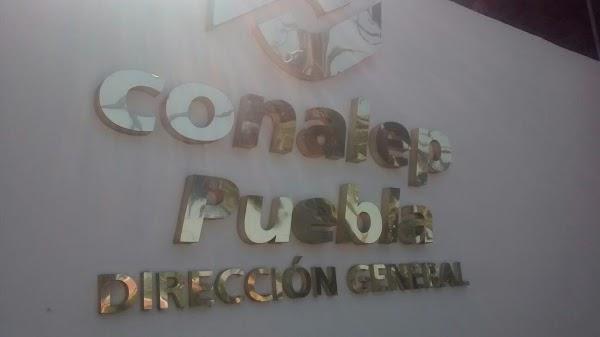 Imagen 5 Centro Educativo Punta Galea foto