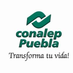 Imagen 6 Centro Educativo Punta Galea foto