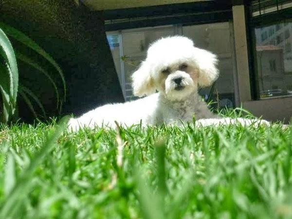 Imagen 87 Restaurante Casa Labarta foto