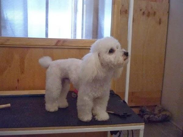 Imagen 91 Restaurante Casa Labarta foto