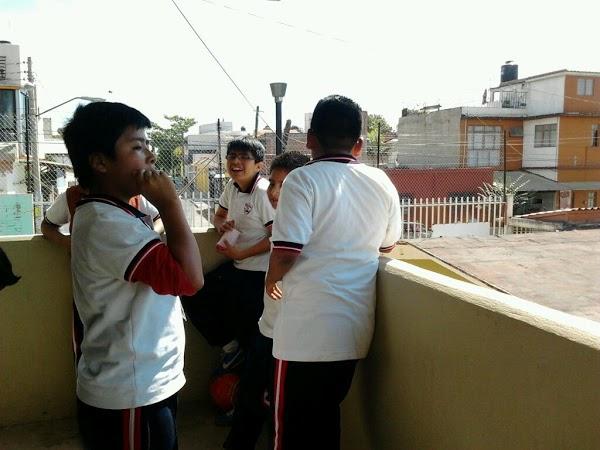 Imagen 3 Musivox foto