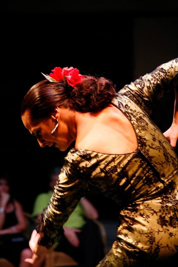 Imagen 20 Museo del Baile Flamenco foto