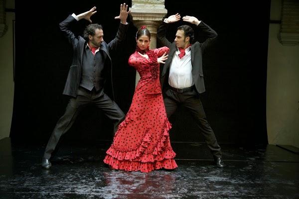 Imagen 49 Museo del Baile Flamenco foto