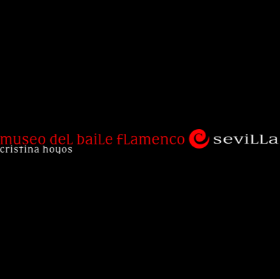 Imagen 60 Museo del Baile Flamenco foto