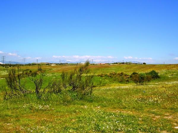 Imagen 2 Cash Barea S.A. foto