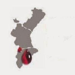 Imagen 13 ASESORIA Y PROYECTOS XALAPA foto