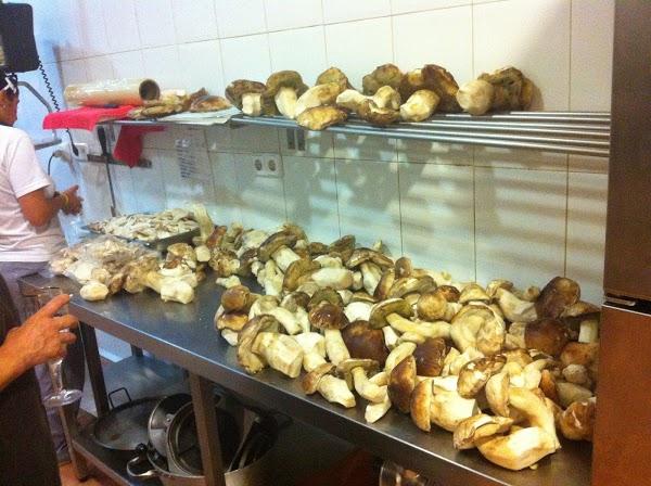 Imagen 38 Centro Veterinario MR. VET Medina de Pomar foto