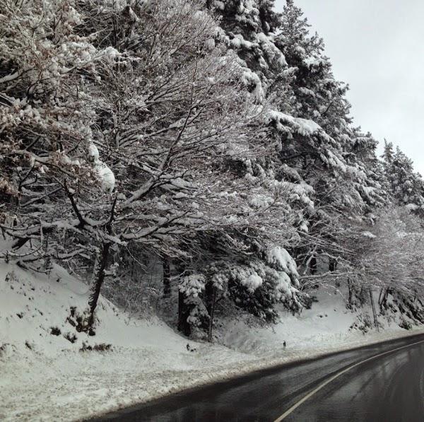 Imagen 1 Centres Cruz Navarro foto