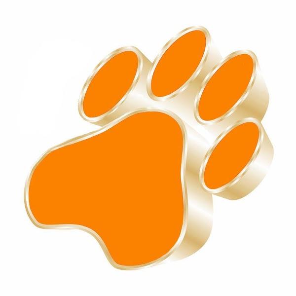 Imagen 5 Combas, Picos, Lampas, Barretas y Herramientas Antichispa Perú foto