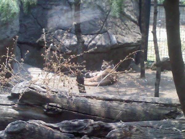 Imagen 1 Cajasiete - Sede Central foto