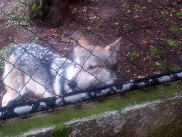 Imagen 13 Cajasiete - Sede Central foto