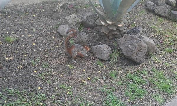 Imagen 15 Cajasiete - Sede Central foto