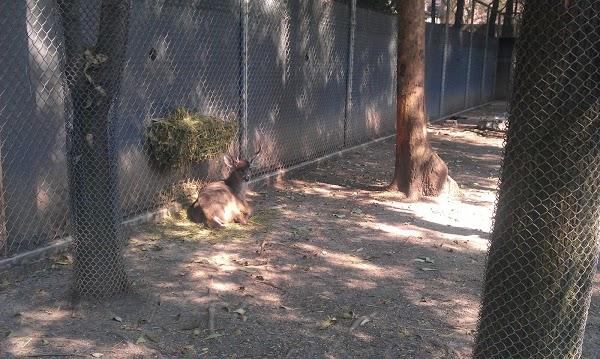 Imagen 16 Cajasiete - Sede Central foto