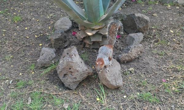 Imagen 17 Cajasiete - Sede Central foto