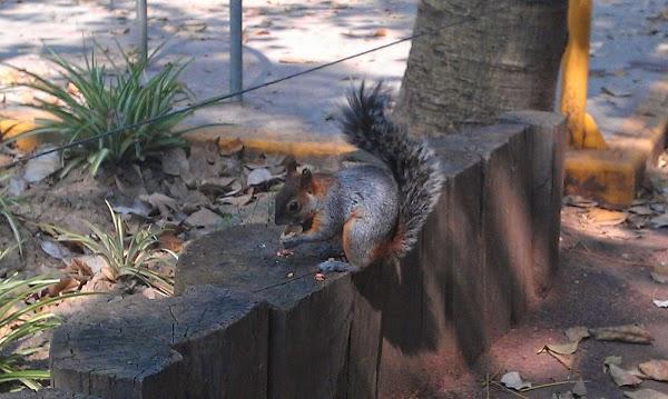 Imagen 19 Cajasiete - Sede Central foto