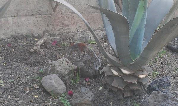 Imagen 20 Cajasiete - Sede Central foto