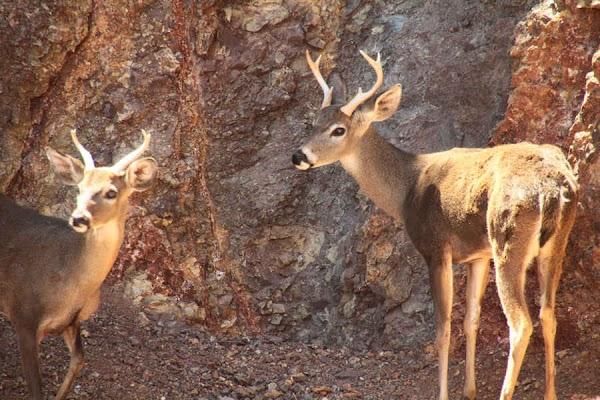 Imagen 9 Cajasiete - Sede Central foto