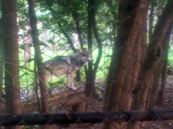 Imagen 10 Cajasiete - Sede Central foto