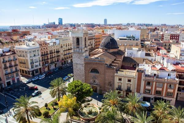 Imagen 11 Clínica Veterinaria El Caudal foto