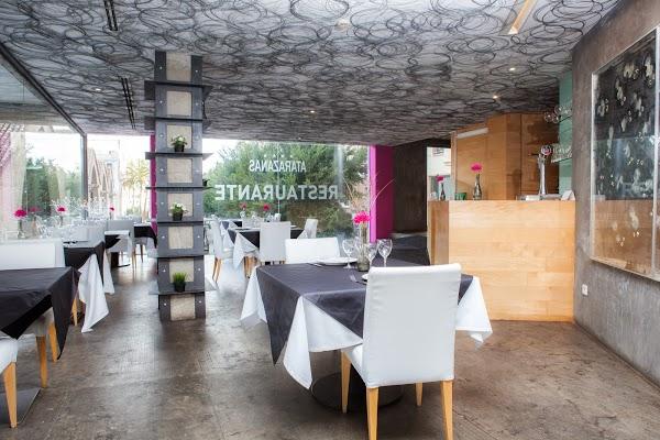 Imagen 12 Clínica Veterinaria El Caudal foto