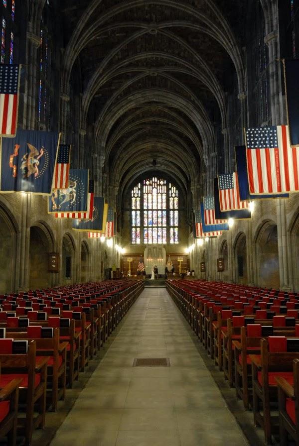 Imagen 4 Clínica Veterinaria El Caudal foto