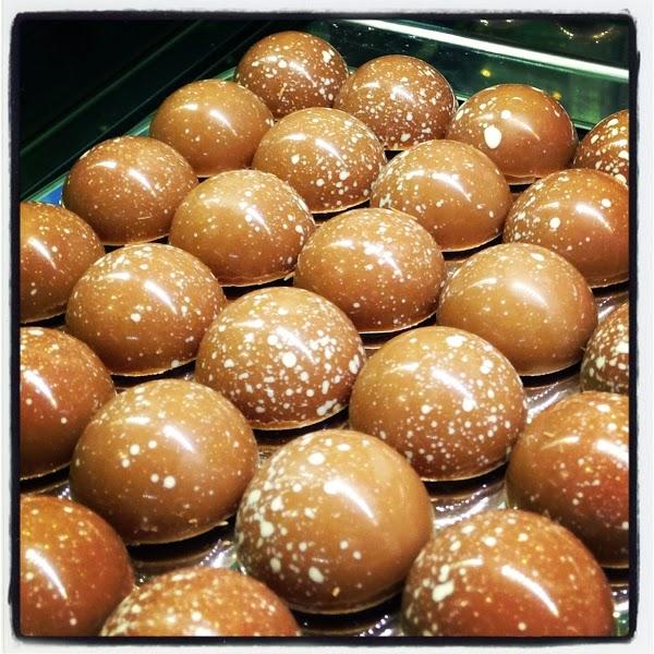 Imagen 7 Educació Equestre foto