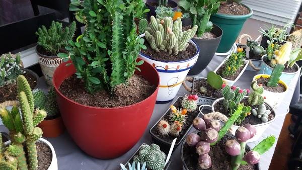 Imagen 15 Fotos Nico foto